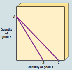 As shown in Exhibit A-7, a shift in the budget line from AB to AC would result from a(an) A) price reduction in good X. B) price reduction in good Y. C) price rise in good X. D) increase in consumer income. EXHIBIT A-7 Budget Line  