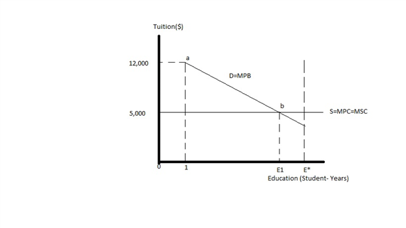 Currently, public education is a public service which everyone has the ability to benefit from without the factors of privacy or exclusivity built into it. However, if education were a private market, it would be treated more like an exclusive privilege than a valuable commodity. Functioning as a private market, education would lend itself to be treated like any other private or semiprivate good or service. It would only be sought after during periods when its benefits were felt the most, in this case, during the early stages of learning. Once the basic skills were learned, however, demand for education would decrease as it would become more and more focused on specific concentrations.  