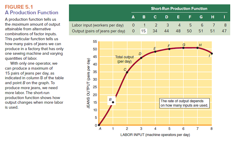 ( a ) What is the marginal physical product of each successive worker in Figure 5.1? For which worker is marginal physical product ( b ) first diminishing? ( c ) zero?   