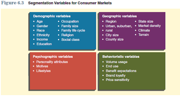 Identifying and analyzing a target market is a major component of formulating a marketing strategy. A clear understanding and explanation of a product's target market is crucial to developing a useful marketing plan. References to various dimensions of a target market are likely to appear in several locations in a marketing plan. To assist you in understanding how information in this chapter relates to the creation of your marketing plan, focus on the following considerations:  Select and justify the segmentation variables that are most appropriate for segmenting the market for your product. If your product is a consumer product, use Figure 6.3 for ideas regarding the most appropriate segmentation variables. If your marketing plan focuses on a business product, review the information in the section entitled Variables for Segmenting Business Markets.      The information obtained from these questions should assist you in developing various aspects of your marketing plan found in the Interactive Marketing Plan exercise at www.cengagebrain.com.
