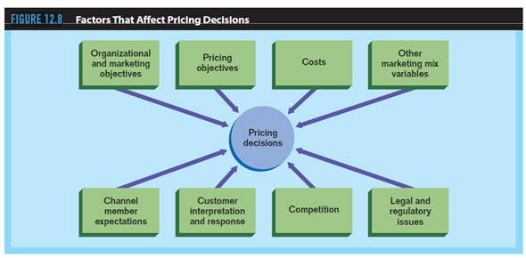 The appropriate pricing of a product is an important factor in developing a successful marketing strategy. The price contributes to the profitability of the product and can deter competition from entering the market. A clear understanding of pricing concepts is essential in developing strategy and the marketing plan. Consider the information in this chapter when focusing on the following issues: Using Figure 12.8 as a guide, discuss the various factors that affect the pricing of your product.