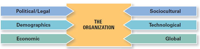 Using Exhibit 2-1, what external components might be most important for managers in movie theater chains to know about? Why? (Reference Exhibit 2-1): Components of the External Environment   