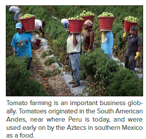 Tomato Wars  When the North American Free Trade Agreement (NAFTA) went into effect in December 1992 and tariffs on imported tomatoes were dropped U.S. tomato producers in Florida feared that they would lose business to lower-cost producers in Mexico. So they lobbied the government to set a minimum floor price for tomatoes imported from Mexico. The idea was to stop Mexican producers from cutting prices below the floor to gain share in the U.S. market. In 1996 the United States and Mexico agreed on a basic floor price of 21.69 cents a pound. At the time, both sides declared themselves to be happy with the deal. As it turns out, the deal didn't offer much protection for U.S. tomato growers. In 1992, the year before NAFTA was passed, Mexican producers exported 800 million pounds of tomatoes to the United States. By 2011 they were exporting 2.8 billion pounds of tomatoes, an increase of 3.5-fold. The value of Mexican tomato exports almost tripled over the same period to $2 billion. In contrast, tomato production in Florida has fallen by 41 percent since NAFTA went into effect. Florida growers complained that they could not compete against low             Was the establishment of a minimum floor price for tomatoes consistent with the free trade principles enshrined in NAFTA