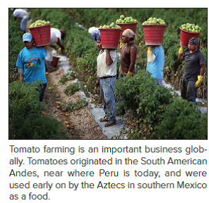 Tomato Wars  When the North American Free Trade Agreement (NAFTA) went into effect in December 1992 and tariffs on imported tomatoes were dropped U.S. tomato producers in Florida feared that they would lose business to lower-cost producers in Mexico. So they lobbied the government to set a minimum floor price for tomatoes imported from Mexico. The idea was to stop Mexican producers from cutting prices below the floor to gain share in the U.S. market. In 1996 the United States and Mexico agreed on a basic floor price of 21.69 cents a pound. At the time, both sides declared themselves to be happy with the deal. As it turns out, the deal didn't offer much protection for U.S. tomato growers. In 1992, the year before NAFTA was passed, Mexican producers exported 800 million pounds of tomatoes to the United States. By 2011 they were exporting 2.8 billion pounds of tomatoes, an increase of 3.5-fold. The value of Mexican tomato exports almost tripled over the same period to $2 billion. In contrast, tomato production in Florida has fallen by 41 percent since NAFTA went into effect. Florida growers complained that they could not compete against low             Why despite the establishment of a minimum floor price have imports from Mexico grown over the years
