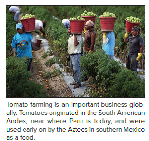 Tomato Wars  When the North American Free Trade Agreement (NAFTA) went into effect in December 1992 and tariffs on imported tomatoes were dropped U.S. tomato producers in Florida feared that they would lose business to lower-cost producers in Mexico. So they lobbied the government to set a minimum floor price for tomatoes imported from Mexico. The idea was to stop Mexican producers from cutting prices below the floor to gain share in the U.S. market. In 1996 the United States and Mexico agreed on a basic floor price of 21.69 cents a pound. At the time, both sides declared themselves to be happy with the deal. As it turns out, the deal didn't offer much protection for U.S. tomato growers. In 1992, the year before NAFTA was passed, Mexican producers exported 800 million pounds of tomatoes to the United States. By 2011 they were exporting 2.8 billion pounds of tomatoes, an increase of 3.5-fold. The value of Mexican tomato exports almost tripled over the same period to $2 billion. In contrast, tomato production in Florida has fallen by 41 percent since NAFTA went into effect. Florida growers complained that they could not compete against low             Who benefits from the importation of tomatoes grown in Mexico Who suffers