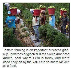 Tomato Wars  When the North American Free Trade Agreement (NAFTA) went into effect in December 1992 and tariffs on imported tomatoes were dropped U.S. tomato producers in Florida feared that they would lose business to lower-cost producers in Mexico. So they lobbied the government to set a minimum floor price for tomatoes imported from Mexico. The idea was to stop Mexican producers from cutting prices below the floor to gain share in the U.S. market. In 1996 the United States and Mexico agreed on a basic floor price of 21.69 cents a pound. At the time, both sides declared themselves to be happy with the deal. As it turns out, the deal didn't offer much protection for U.S. tomato growers. In 1992, the year before NAFTA was passed, Mexican producers exported 800 million pounds of tomatoes to the United States. By 2011 they were exporting 2.8 billion pounds of tomatoes, an increase of 3.5-fold. The value of Mexican tomato exports almost tripled over the same period to $2 billion. In contrast, tomato production in Florida has fallen by 41 percent since NAFTA went into effect. Florida growers complained that they could not compete against low             Do you think that Mexican producers were dumping tomatoes in the United States