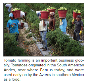 Tomato Wars  When the North American Free Trade Agreement (NAFTA) went into effect in December 1992 and tariffs on imported tomatoes were dropped U.S. tomato producers in Florida feared that they would lose business to lower-cost producers in Mexico. So they lobbied the government to set a minimum floor price for tomatoes imported from Mexico. The idea was to stop Mexican producers from cutting prices below the floor to gain share in the U.S. market. In 1996 the United States and Mexico agreed on a basic floor price of 21.69 cents a pound. At the time, both sides declared themselves to be happy with the deal. As it turns out, the deal didn't offer much protection for U.S. tomato growers. In 1992, the year before NAFTA was passed, Mexican producers exported 800 million pounds of tomatoes to the United States. By 2011 they were exporting 2.8 billion pounds of tomatoes, an increase of 3.5-fold. The value of Mexican tomato exports almost tripled over the same period to $2 billion. In contrast, tomato production in Florida has fallen by 41 percent since NAFTA went into effect. Florida growers complained that they could not compete against low             Was the Commerce Department right to establish a new minimum floor price, rather than scrap the agreement and file an antidumping suit Who would have benefited from an antidumping suit against Mexican tomato producers Who would have suffered