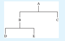 Using the following product tree, determine the planned order receipts and planned order releases if 200 As are to be produced in week 5. All lead times are 1 week except for component E, which has a lead time of 2 weeks.    