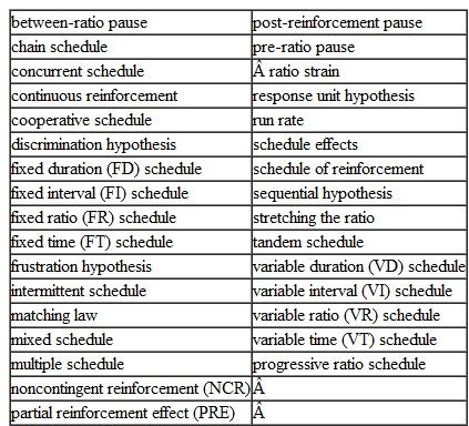 Define the following terms:
