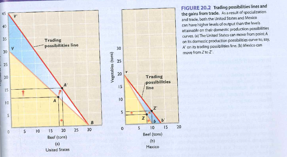 The production possibilities curves in graphs (a) and (b) imply: A) increasing domestic opportunity costs. B) decreasing domestic opportunity costs. C) constant domestic opportunity costs. D) first decreasing, then increasing, domestic opportunity costs.