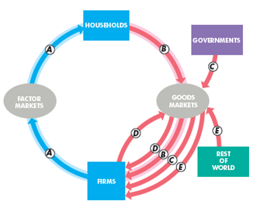 The following figure illustrates the circular flow model.     During 2014, flow A was $13.0 trillion, flow B was $9.1 trillion, flow D was $3.3 trillion, and flow E was -$0.8 trillion. Calculate (i) GDP and (ii) Government expenditure.
