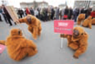 PART 1: CONCERNS OVER SUSTAINABILITY RESULT IN SOCIAL MEDIA DISASTER FOR NESTLÉ  In March of 2010, Greenpeace began coordinating environmental activists in a protest over Nestlé's alleged purchase of palm oil from an Indonesian company that Greenpeace International claimed was destroying the rain forest in the building of palm plantations. The palm oil was used to make KitKat candy bars. Although Nestlé claimed to have already made the decision to no longer do business with the supplier, while also asserting that the purchase had comprised only 1.25 percent of the company's total palm oil consumption in 2009, the company was a vulnerable target for environmental activists because of its history of questionable practices with respect to child labor and infant formula.     The coordinated efforts of the activists were composed of two major components. Greenpeace staged a protest outside Nestlé's headquarters in Switzerland and a mock KitKat commercial was posted on YouTube. Protesters at the company headquarters wore cutouts of the candy bar but instead of the bar saying KitKat, it said Killer. The KitKat commercial parody portrayed an office worker opening the candy bar and munching on a bloody orangutan finger. As YouTube videos go, the Nestlé parody was shared far and wide via social media platforms such as Facebook and Twitter. Like many companies, Nestlé has a fan page on Facebook to interact with its consumers. The Facebook fan page is a location that enables dialogue about the company's brands. Once the commercial parody hit the social media airwaves, protesters began posting negative comments about the company on Nestlé's Facebook fan page. Nestlé responded with two actions. One, it asked Google's YouTube to remove the commercial parody from the site due to copyright infringement, and YouTube adhered to the request. However, the video had been downloaded and it still spread across the Internet. Two, Nestlé also told Facebook users that the company would delete their comments from the fan page if the Killer logo was used. Apparently, angry protesters had begun to replace their profile pictures with the Killer logo. Interestingly, it was Nestlé's response to actions within the social media ecosystem and not the palm oil issue itself that erupted in war for the company. Nestlé's threat to delete comments that included the altered KitKat logo (Killer) incited the users of the company's fan page. The fan base on Nestlé's Facebook page soared to over 95,000 fans. Unfortunately, the vast majority of these 95,000 were protesters, and Nestlé went on the defensive. The Nestlé online moderator manning the fan page began to respond to individual postings in a derogatory and condescending tone. For example, the moderator is purported to have said something like, ... it's our page, we set the rules....  This just served to fuel the online media firestorm even more, as the exchange quickly hit the Twitter circuit and even more people began to visit the company's Facebook fan page. Many of these visitors likely had no idea about the palm oil issue-they were going to the fan page to see for themselves how Nestlé was engaging with its customers. Ultimately, Nestlé's rules of engagement for social media became a trending topic on Twitter, which resulted in calls for a boycott of all of Nestlé's products. The trending occurred because such a large number of people were commenting on the same thing about Nestlé. As such, the issue appeared on the trend bar on Twitter's home page. This generated even more negative publicity for the company. Soon, the electronic word of mouth began to spread to the offline world. This rapid spread of negativity led to panic among Nestlé shareholders and share prices began to drop dramatically. Nestlé had a social media disaster on its hands. Interestingly, that disaster was due to the way Nestlé engaged in interactions on Facebook-not because of the fact that it had purchased palm oil from a non-sustainable company. The negative social media engagement, however, brought the palm oil issue to the forefront of people's minds who might not have otherwise even thought about sustainability concerns related to candy bars. Thus, while the sustainability concern might have lost its luster in a few days and activists would have moved on to the next cause, the social media engagement snowballed and affected the company financially.68 How could Nestlé have handled the situation differently? Should the company have simply shut down its Facebook page?