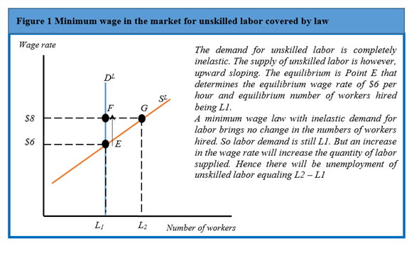 a)A minimum wage law is imposed in the market for unskilled labor with a view to provide them a better standards of living. Figure 1 shows the implication of this legislation in the market for unskilled labor. The market clearing wage rate is $6 per hour and the government announces a minimum wage of $8 hour. With perfectly inelastic demand for skilled labor,this law increases the wage rate to $8 per hour,the market demand for unskilled labor is still at F,measuring L1 while the supply has risen to a point G,measuring L2. So there is excess supply of labor measuring L2 - L1. b)In the market for unskilled labor where this legislation is not proposed,the surplus workers from the market for unskilled labor covered by minimum wage law migrate to this market. This increases the labor supply in this market. This is shown in Figure 2 Before the imposition of law,the market was operating at E,with the same wage rate $6 per hour. With increased supply and same inelastic demand for labor,there is again an excess supply. But since the demand is inelastic,there is a downward pressure on the wage rate which falls to $4.5 per hour. So there is a movement from E to F and from F to G. Only L3 workers would find employment. c)This legislation has no effect on the market for skilled workers. The demand for skilled labor is usual downward sloping. The supply of unskilled labor is however,upward sloping. The equilibrium is Point E that determines the equilibrium wage rate of $30 per hour and equilibrium number of workers hired being L5. This is shown in Figure 3. The market clearing wage rate is higher at $30 per hour and the government's announcement of a minimum wage of $8 hour is not at all binding in this market. So there is no change in the wage rate and employment.