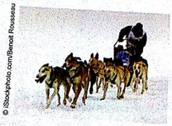 Sports: Dog Sled Racing How long does it take to finish the 1161-mile Iditarod Dog Sled Race from Anchorage to Nome, Alaska (see Viewpoint) Finish times (to the nearest hour) for 57 dogsled teams are shown below.     Use five classes.   