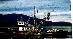 Commercial Fishing: Gulf of Alaska It's not an easy life, but it's a good life! Suppose you decide to take the summer off and sign on as a deck hand for a commercial fishing boat in Alaska that specializes in deep-water fishing for groundfish. What kind of fish can you expect to catch One way to answer this question is to examine government reports on groundfish caught in the Gulf of Alaska. The following list indicates the types of fish caught annually in thousands of metric tons (Source: Report on the Status of U.S. Living Marine. Resources, National Oceanic and Atmospheric Administration): flatfish. 36.3; Pacific cod, 68.6; sablefish, 16.0; Walleye pollock, 71.2; rockfish, 18.9. Mate a Pareto chart showing the annual harvest for commercial fishing in the Gulf of Alaska.