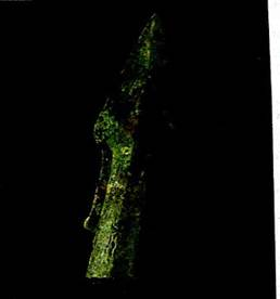 Archaeology: Ireland Commercial dredging operations in ancient rivers occasionally uncover archaeological artifacts of great, importance. One such artifact is Bronze Age spearheads recovered from ancient rivers in Ireland. A recent study gave the following information regarding discoveries of ancient bronze spearheads in Irish rivers. (Based on information from Crossing the Rubicon, Bronze Age Studies 5, Lorraine Bourke, Department of Archaeology, National University of Ireland, Galway.) (a). Make a Pareto chart for these data. (b). Make a circle graph for these data.