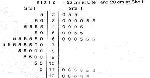 Expand Your Know ledge. Back-to-Back Stem Plot In archaeology, the depth (below surface grade) at which artifacts are found is very important. Greater depths sometimes indicate older artifacts, perhaps from a different archaeological period. Figure 2-17 is a back-to-back stem plot showing the depths of artifact locations at two different archaeological sites. These sites are from similar geographic locations. Notice that the stems are in the center of diagram. The leaves for Site I artifact depths are shown to the left of the I stem, while the leaves for Site II are to the right of the stem (see Mimbres Mogollon Archaeology by A. I. Woosley and A. J. McIntyre, University of New Mexico Press). (a) What are the least and greatest depths of artifact finds at Site I at Site II (b) Describe the data distribution of depths of artifact finds at Site I and at Site II. (C) Interpretation At Site II, there is a gap in the depths at which artifacts were found. Does the Site II data distribution suggest that there might have been a period of no occupation Depth (in cm) of Artifact Location
