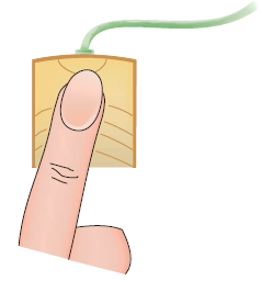 To test a light socket, a woman, while standing on cushions that insulate her from the ground, sticks her finger into the socket, as shown in Fig. P9.113. The tip of her finger makes contact with one side of the line, and the side of her finger makes contact with the other side of the line. Assuming that any portion of a limb has a resistance of 95 0, is there any current in the body Is there any current in the vicinity of the heart      Figure P9.113