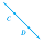 Identify the figure as a line, line segment, or ray, and name it using theappropriate symbol.