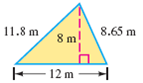 Find the perimeter and area of the triangle.