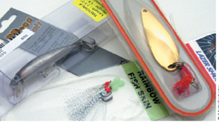 You own a fly-fishing shop and maintain an inventory database that, along with inventory data, stores the names of the wholesalers from which you buy each item. Hot Rod Wholesalers just changed its name to Northern Rod and Reel, so you need to update your database. The best way to accomplish this task would be to perform a(n) update that changes every instance of Hot Rod Wholesalers to Northern Rod and Reel.