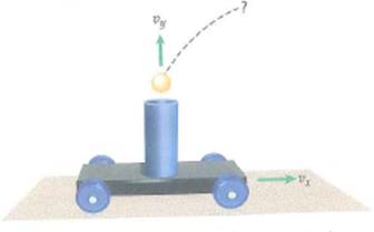A wheeled car with a spring-loaded cannon fires a metal ball vertically (Fig.). If the vertical initial speed of the ball is 5.0 m/s as the cannon moves horizontally at a speed of 0.75 m/s, (a) how far from the launch point does the bail fall back into the cannon, and (b) what would happen if the cannon were accelerating      FIGURE A ballistics car See Exercise.