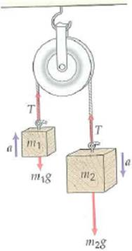 An Atwood machine (see Fig.) has suspended masses of 0.25 kg and 0.20 kg. Under ideal conditions, what will be the acceleration of the smaller mass      FIGURE Atwood machine See Exercise.
