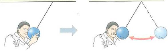 For a classroom demonstration, a bowling ball suspended from a ceiling is displaced from the vertical position to one side and released from rest just in front of the nose of a student (Fig.). If the student doesn't move, why won't the bowling ball hit his nose      FIGURE In your face See Conceptual Question.