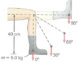 In doing physical therapy for an injured knee joint, a person raises a 5.0-kg weighted boot as shown in Fig. Compute the torque due to the boot for each position shown.     FIGURE Torque in physical therapy See Exercise.