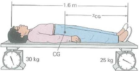 The location of a person's center of gravity relative to his or her height can be found by using the arrangement shown in Fig. The scales are initially adjusted to zero with the board alone. (a) Would you expect the location of the center of gravity to be (1) midway between the scales, (2) toward the scale at the person's head, or (3) toward the scale at the person's feet FIGURE Locating the center of gravity See Exercise. Why (b) Locate the center of gravity of the person relative to the horizontal dimension.