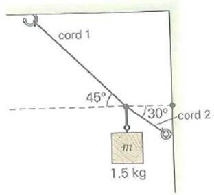 A mass is suspended by two cords as shown in Fig. What are the tensions in the cords      FIGURE A lot of tension See Exercises.