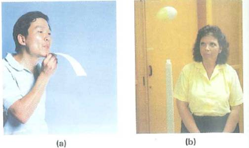 Here are two common demonstrations of Bernoulli effects: (a) If you hold a narrow strip of paper in front of your mouth and blow over the top surface, the strip will rise (Fig. a). (Try it.) Why (b) Aplastic egg is supported vertically by a stream of air from a tube (Fig. b). The egg will not move away from the midstream position. Why not      FIGURE Bernoulli effects See Conceptual Question.