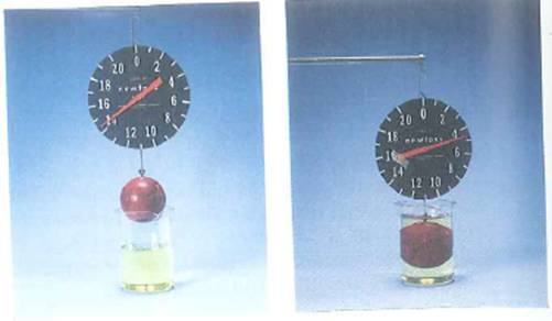 Figure shows a simple laboratory experiment. Calculate (a) the volume and (b) the density of the suspended sphere. (Assume that the density of the sphere is uniform and that the liquid in the beaker is water.) (c) Would you be able to make the same determinations if the liquid in the beaker were mercury (See Table 9.2.) Explain.     FIGURE Dunking a sphere See Exercise.