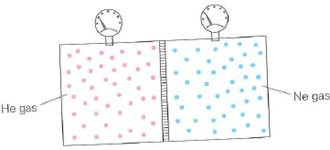 Equal volumes of helium gas (He) and neon gas (Ne) at the same temperature (and pressure) are on opposite sides of a porous membrane (Fig.). Describe what happens after a period of time, and why.     FIGURE What happens as time passes See Conceptual Question.