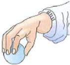 A 0.250-kg ball is dropped from a height of 10.0 cm onto a spring, as illustrated in Fig. If the spring has a spring constant of 60.0 N/m, (a) what distance will the spring be compressed (Neglect energy loss during collision.) (b) On recoiling upward, how high will the ball go          FIGURE How far down See Exercise.