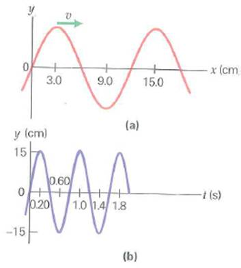 Refer to the wave shown in Fig. (Exercise). (a) Locate the points on the rope that have a maximum speed. Determine (b) the maximum speed, and (c) the distance between successive high and low spots on the string. FIGURE How high and how fast See Exercise. Exercise Fig. a shows a snapshot of a wave traveling on a rope, and Fig. b describes the position as a function of time of a point on the rope. (a) What is the amplitude of the traveling wave (b) What is the wavelength of the wave (c) What is the period of the wave (d) What is the wave speed
