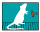 Because an organism may not immediately emit the desired behavior, a procedure is used to reinforce behaviors that lead to or approximate the final target behavior. This procedure is called _____.