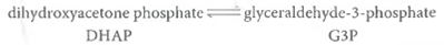 Backward or Forward The interconversion of dihydroxyacetone phosphate (DHAP)and glyceraldehyde-3-phosphate (G3P)is a part of both the glycolytic pathway and the Calvin cycle for photosynthetic carbon fixation:    (1) The value of G°' for this reaction is +1.8 kcal/mol at 25°C. In the glycolytic pathway, this reaction goes to the right, converting DHAP to G3P. In the Calvin cycle, this reaction proceeds to the left, converting G3P to DHAP. (a)In which direction does the equilibrium lie What is the equilibrium constant at 25°C  (b)In which direction does this reaction tend to proceed under standard conditions What is G' for the reaction in that direction  (c)In the glycolytic pathway, this reaction is driven to the right because G3P is consumed by the next reaction in the sequence, thereby maintaining a low G3P concentration. What will G' be (at 25°C)if the concentration of G3P is maintained at 1% of the DHAP concentration (i.e., if [G3P]/[DHAP] = 0.01) (d)In the Calvin cycle, this reaction proceeds to the left. How high must the [G3P]/[DHAP] ratio be to ensure that the reaction is exergonic by at least 3.0 kcal/mol (at 25°C)
