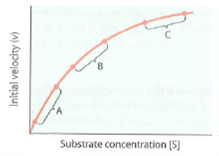Michaelis-Menten Kinetics. Figure represents a Michaelis-Menten plot for a typical enzyme, with initial reaction velocity plotted as a function of substrate concentration. Three regions of the curve are identified by the letters A, B, and C. For each of the statements that follow, indicate with a single letter which one of the three regions of the curve fits the statement best. A given letter can be used more than once. (a)The active site of an enzyme molecule is occupied by substrate most of the time. (b)The active site of an enzyme molecule is free most of the time. (c)This is the range of substrate concentration in which most enzymes usually function in normal cells. (d)This includes the point ( K m , V max /2). (e)Reaction velocity is limited mainly by the number of enzyme molecules present. (f)Reaction velocity is limited mainly by the number of substrate molecules present. Figure Analysis of the Michaelis-Menten Plot.