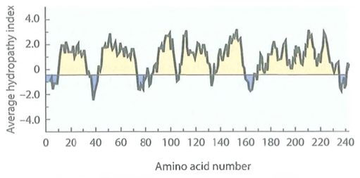 Hydropathy: The Plot Thickens. A hydropathy plot can be used to predict the structure of a membrane protein based on its amino acid sequence and the hydrophobicity values of the amino acids. Hydrophobicity is measured as the standard free energy change, AG°', for the transfer of a given amino acid residue from a hydrophobic solvent into water, in kilojoules/mole (kj/mol). The hydropathy index is calculated by averaging the hydrophobicity values for a series of short segments of the polypeptide, with each segment displaced one amino acid further from the N-terminus. The hydropathy index of each successive segment is then plotted as a function of the location of that segment in the amino acid sequence, and the plot is examined for regions of high hydropathy index. (a)Why do scientists try to predict the structure of a membrane protein by this indirect means when the technique of X-ray crystallography would reveal the structure directly (b)Given the way it is defined, would you expect the hydrophobicity index of a hydrophobic residue such as valine or isoleucine to be positive or negative What about a hydrophilic residue such as aspartic acid or arginine (c)Listed below are four amino acids and four hydrophobicity values. Match the hydrophobicity values with the correct amino acids, and explain your reasoning. Amino acids: alanine; arginine; isoleucine; serine Hydrophobicity (in kj/mol): +3.1; +1.0; -1.1; -7.5 (d)Shown in Figure is a hydropathy plot for a specific integral membrane protein. Draw a horizontal bar over each transmembrane segment as identified by the plot. How long is the average transmembrane segment How well does that value compare with the number you calculated in Problem 7-6c How many transmembrane segments do you think the protein has Can you guess which protein this might be FIGURE Hydropathy Plot for an Integral Membrane Protein.
