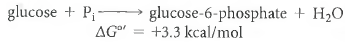 Glucose Phosphorylation. The direct phosphorylation of glucose by inorganic phosphate is a thermodynamically unfavorable reaction:    (1) In the cell, glucose phosphorylation is accomplished by coupling the reaction to the hydrolysis of ATP, a highly exergonic reaction:    (2) Typical concentrations of these intermediates in yeast cells are as follows:     Assume a temperature of 25°C for all calculations. (a)What minimum concentration of glucose would have to be maintained in a yeast cell for direct phosphorylation (Reaction 9-21)to be thermodynamically spontaneous Is this physiologically reasonable Explain your reasoning. (b)What is the overall equation for the coupled (ATP-driven)phosphorylation of glucose What is its G ° value  (c)What minimum concentration of glucose would have to be maintained in a yeast cell for the coupled reaction to be thermodynamically spontaneous Is this physiologically reasonable  (d)By about how many orders of magnitude is the minimum required glucose concentration reduced when the phosphorylation of glucose is coupled to the hydrolysis of ATP  (e)Assuming a yeast cell to have a glucose concentration of 5.0 mM, what is G for the coupled phosphorylation reaction