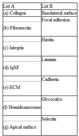 Compare and Contrast. For each of the terms in list A, choose a related term in list B, and explain the relationship between the two terms by comparing or contrasting them structurally or functionally.