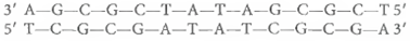 DNA Structure. Carefully inspect the double-stranded DNA molecule shown here, and notice that it has twofold rotational symmetry:     Label each of the following statements as T if true or F if false. (a)There is no way to distinguish the right end of the double helix from the left end. (b)If a solution of these molecules were heated to denature them, every single-stranded molecule in the solution would be capable of hybridizing with every other molecule.  (c)If the molecule were cut at its midpoint into two halves, it would be possible to distinguish the left half from the right half.  (d)If the two single strands were separated from each other, it would not be possible to distinguish one strand from the other.  (e)In a single strand from this molecule, it would be impossible to determine which is the 3 end and which is the 5 end