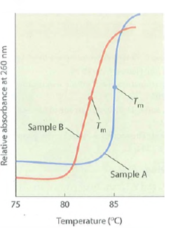 DNA Melting. Figure shows the melting curves for two DNA samples that were thermally denatured under the same conditions. (a)What conclusion can you draw concerning the base compositions of the two samples Explain. (b)How might you explain the steeper slope of the melting curve for sample A  (c)Formamide and urea are agents known to form hydrogen bonds with pyrimidines and purines. What effect, if any, would the inclusion of a small amount of formamide or urea in the incubation mixture have on the melting curves  FIGURE Thermal Denaturation of Two DNA Samples.    