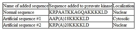 Going Nuclear. Experiments have been performed with the nuclear localization sequence (NLS)of nucleoplasmin. In each case, a string of amino acids was added to pyruvate kinase, a glycolytic enzyme normally found in the cytosol. The sequence of each added string of amino acids is shown using single-letter amino acid designations. Consult the single-letter amino acid code table (Table 3-2, page 45)if you feel it is necessary. Many alanines in a row are denoted by (A)n , where n is the number of alanines. The following results were obtained:    (a)What sort of NLS does nucleoplasmin appear to have, based on these results Explain your answer. (b)How does your conclusion about the NLS of nucleoplasmin compare to the NLS for SV40 large T antigen