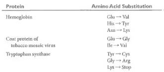 Amino Acid Substitutions in Mutant Proteins. Although the codon assignments summarized in Figure 21-7 were originally deduced from experiments involving synthetic RNA polymers and triplets, their validity was subsequently confirmed by examining the amino acid sequences of normally occurring mutant proteins. The table below lists some examples of amino acid substitutions seen in mutant forms of hemoglobin, tryptophan synthase, and the tobacco mosaic virus coat protein. For each amino acid alteration, list the corresponding single-base changes in mRNA that could have caused that particular amino acid substitution.