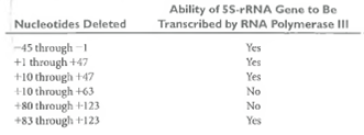 Locating Promoters. The following table provides data concerning the effects of various deletions in a eukaryotic gene coding for 5S rRNA on the ability of this gene to be transcribed by RNA polymerase III.     (a)What do these data tell you about the probable location of the promoter for this particular 5S-rRNA gene  (b)If a similar experiment were carried out for a gene transcribed by RNA polymerase I, what kinds of results would you expect  (c)If a similar experiment were carried out for a gene transcribed by RNA polymerase II, what kinds of results would you expect