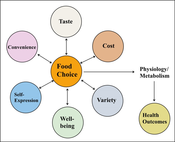 Choice of food depends on various factors and differs from one individual to the other. More often, humans prefer to have food with sensory characteristics.  Among the various factors that influence food choice, four of them were listed below:  1) Taste 2) Cost 3) Variety 4) Convenience List of various factors that influence food choice are as follows:     Food selection is mostly influenced by taste, a gustatory perception that senses the flavor of the savor. Taste depends on flavor principles, which is a characteristic combination of core and complementary foods. These principles are necessary to provide expected taste experience with satisfaction.