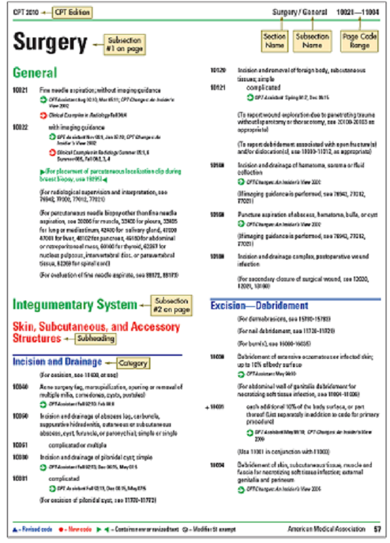 Review Figure 20-1. What is the correct code for a complicated removal of a foreign body from subcutaneous tissues? figure 20-1  Top of CPT manual page showing Edition, Section Name, Subsection Name, and Code Range.   