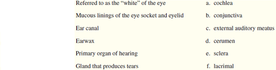 Match the terms to their definitions.